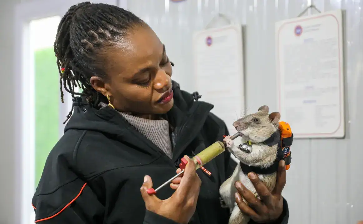Sırt Çantalı Fareler Antalya'da Görevde! 4